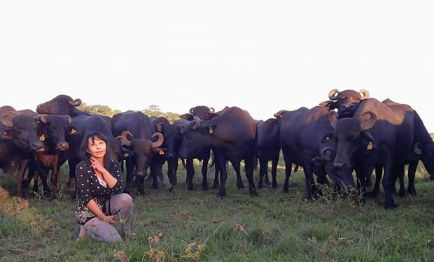 El objetivo es difundir la cría de estos animales en el país y dejar en claro que pueden utilizados con doble propósito: carne y leche.