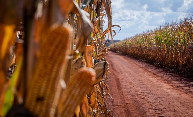 Enquanto a produção cresce cerca de dez milhões de toneladas, a armazenagem tem um aumento de cerca de cinco milhões de toneladas