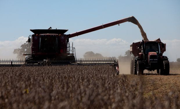 Estiman un crecimiento del 70 % de la producción de granos y que las exportaciones se dupliquen