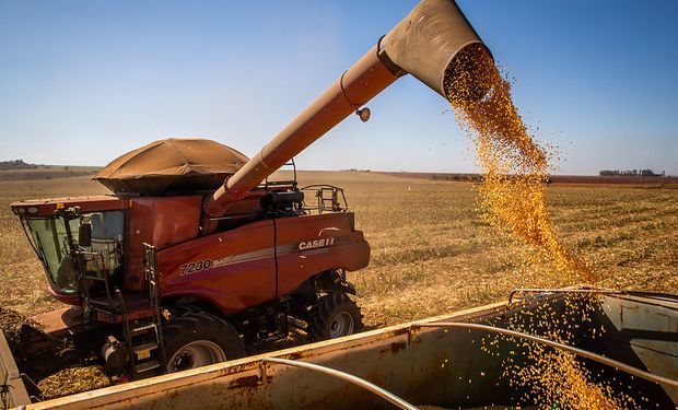 Dentre as sete regiões do Mato Grosso, quem está com a colheita mais avançada é a norte