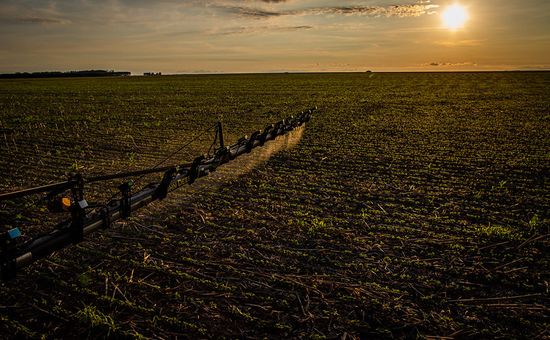 En su segundo año en el Congreso Aapresid, la empresa Agroterrum presentó una propuesta innovadora y sostenible para seguir construyendo marca, acercarse a los productores y anticipar el ingreso de productos biológicos en su portfolio