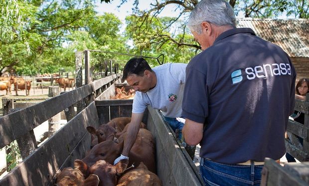 Senasa simplificó el marco regulatorio para la exportación, importación y comercialización de productos veterinarios