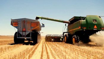 Los siete factores que definen el futuro en el precio del trigo