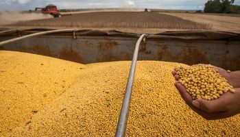 Sorprenden los rendimientos de la soja y se esperan 50 millones de toneladas