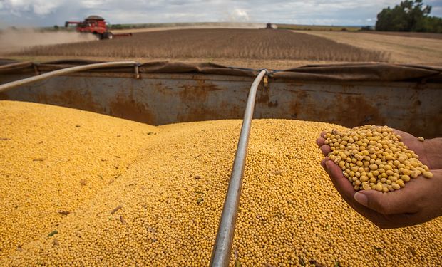 Sorprenden los rendimientos de la soja y se esperan 50 millones de toneladas