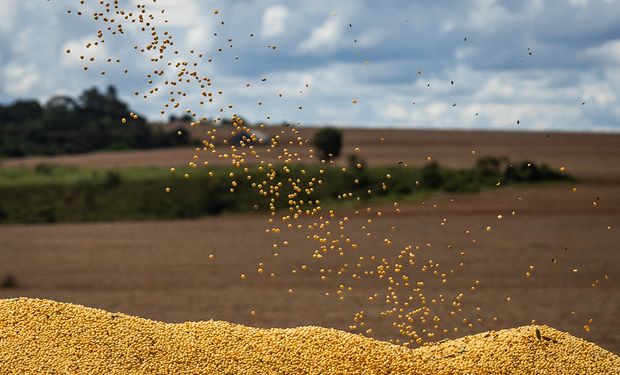 Octubre cerró con un aporte récord de dólares del campo, que crecieron 243% contra 2023