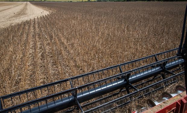 La venta de maquinaria crece un 58% contra el año pasado y hay expectativa por Expoagro: qué marca lidera cada segmento