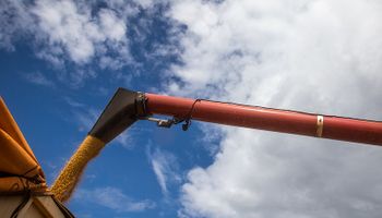 ¿Bajan las retenciones a la soja? Lo que revela el precio y los temas que se hablan en el mercado