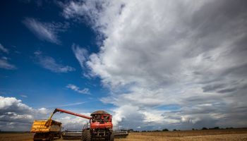 La lluvia beneficia a Brasil y crece la estimación de producción de soja a 166,33 millones de toneladas