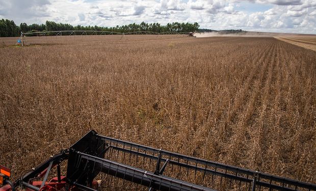 Brasil estima un récord en la producción de soja para la campaña 2023/24