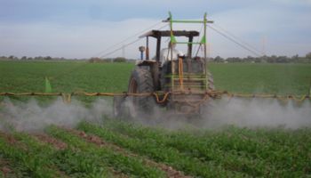 Empresas de insumos mantienen dolarizadas sus ventas al campo