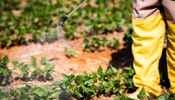Ministério anuncia registro de novos defensivos agrícolas