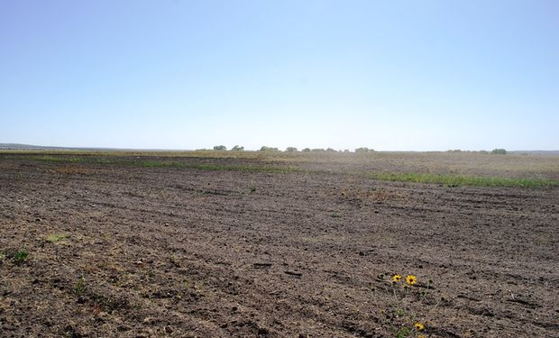 Las reservas de agua están por debajo del mínimo histórico