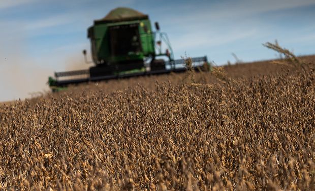 O Plano Safra é esperado pelo agronegócio brasileiro e Ministro vem dizendo reiteradamente que o plano será robusto