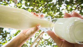 Produção nacional de leite será protegida, garante Mapa