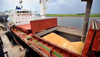 Ucrania continuó exportando a pesar del conflicto