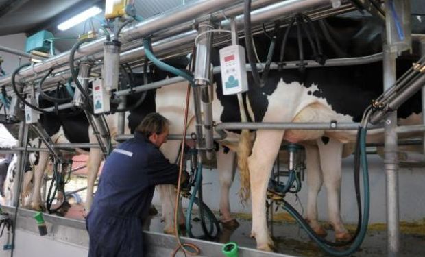 Lácteos: admiten trabas para exportar