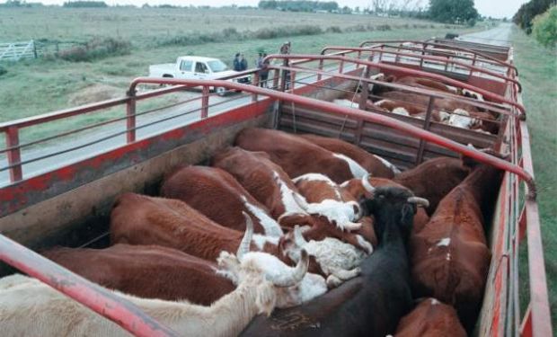 En Uruguay, los ganaderos defienden el libre mercado y rechazan intervención