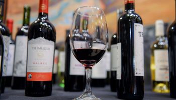Día del Malbec: por qué se celebra hoy y cuáles son los 10 vinos más destacados