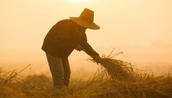 Enem: tema aplicado na região de Belém valoriza trabalhadores rurais