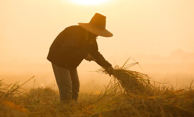 Enem: tema aplicado na região de Belém valoriza trabalhadores rurais