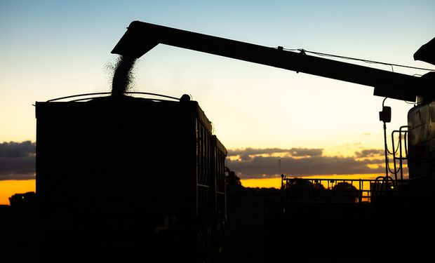 El agro argentino tiene el potencial de sumar un “segundo complejo exportador” y llegar a 250 millones de toneladas: qué hace falta