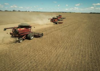 Uno de cada cuatro pesos: cuánto aporta el agro a la economía argentina