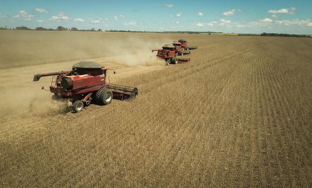 Uno de cada cuatro pesos: cuánto aporta el agro a la economía argentina