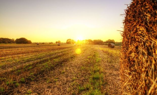 Es la primera diplomatura basada en la conceptualización de la Bioeconomía.