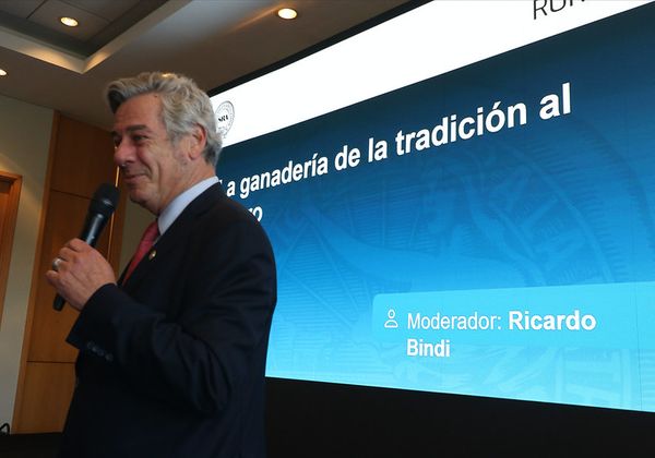 pino ganaderia 2025