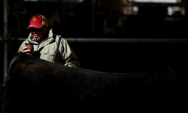 Un panel de expertos reveló qué debe hacer la ganadería argentina para despegar: "Si es por la tradición, estamos estancados en 50 millones de cabezas"