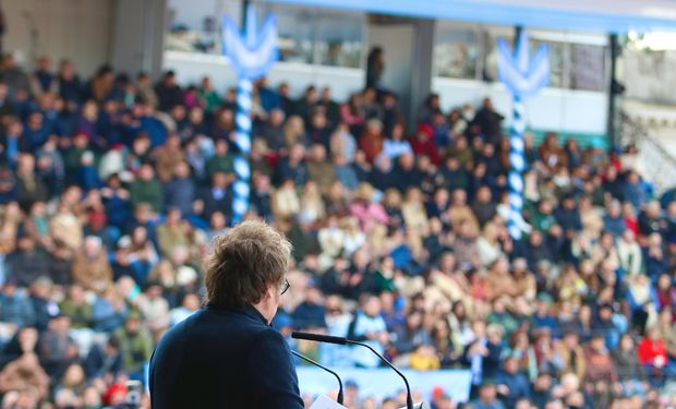 El impacto (acotado) de la baja de retenciones en la soja y el maíz