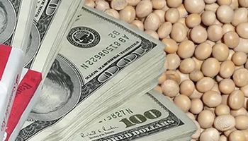 El dólar soja llegó a Chicago: hubo fuertes bajas ante la repentina mejora de competitividad de la Argentina