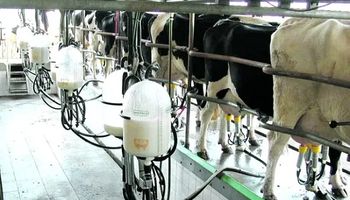 Un déjà vu de una gran crisis en el mercado lácteo: qué coincidencias hay con el 2016 de cara al 2024