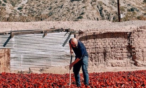 Chef en el campo: Martitegui visitó a productores y criticó que las políticas "les arruinan la vida"