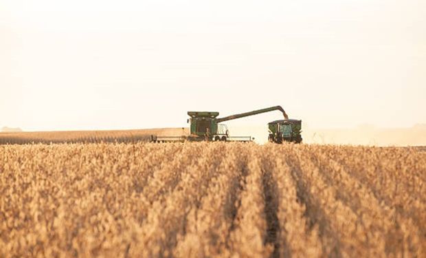 En una jornada muy negativa para el valor de los granos en Chicago, la soja  cayó un 5,6% - LA NACION