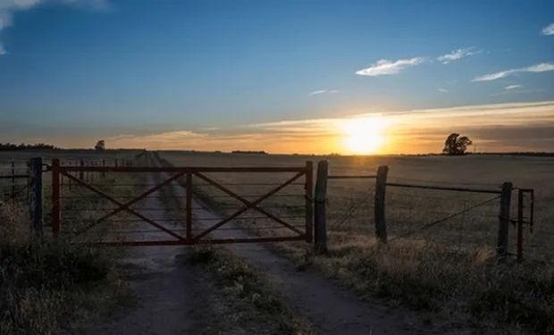 ¿Hasta cuándo sigue el frio polar? Qué pasará con las lluvias y la temperatura en los próximos dias 