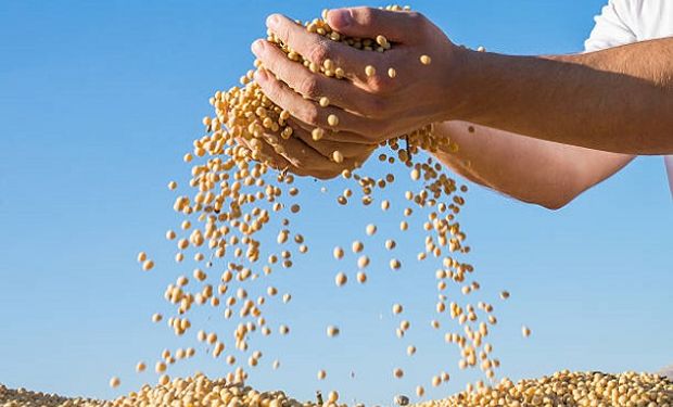 Un mejor pronóstico climático en la región productiva estadounidense limita las subas de la soja: cuánto se pagó en Rosario