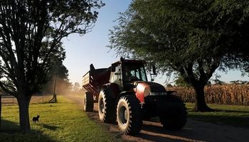 “Argentina parece estar viendo otra película”: las cuatro cadenas de cultivos pidieron cambiar el modelo del desarrollo económico