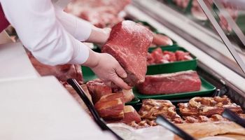 Ya están disponibles los parámetros oficiales para la tipificación de carne
