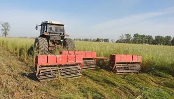 Planes sociales y desarraigo rural: los motivos por los que cae el empleo agrícola en provincias con cultivos intensivos