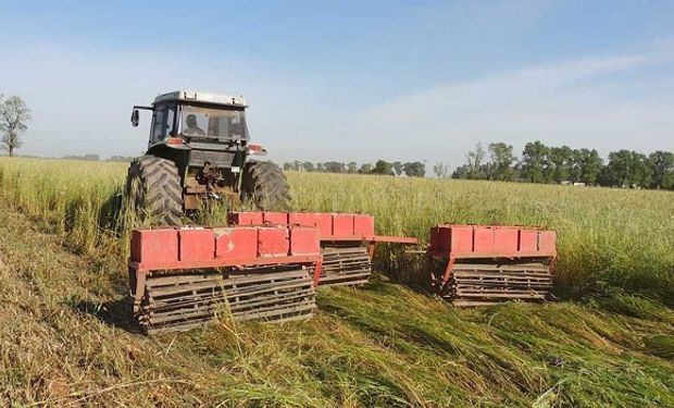 Planes sociales y desarraigo rural: los motivos por los que cae el empleo agrícola en provincias con cultivos intensivos