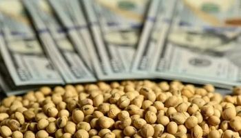 Dólar soja 3: se liquidaron US$ 3500 millones, pero el Banco Central solo sumo 333 a las reservas