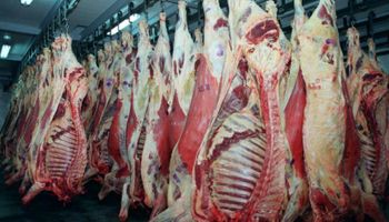 Santa Fe duplicó la exportación de carne congelada a China