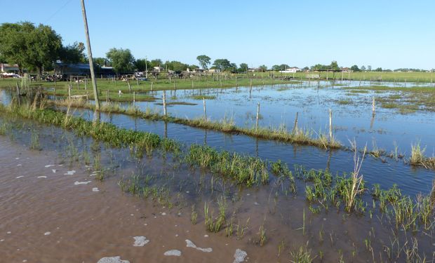Así quedó parte del terreno santafesino.