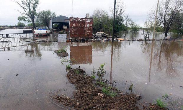 Así quedó la entrada a esta granja.