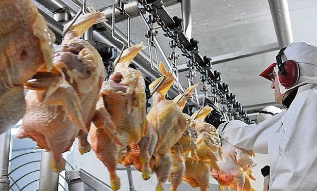 China denunció presencia de coronavirus en pollo brasileño y hay alerta en la región