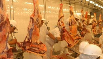 Trabajadores de frigoríficos de Uruguay realizarán otro paro
