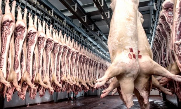 Donald Trump anunció el pasado 17 de agosto la apertura del mercado argentino para la carne de cerdo de ese país