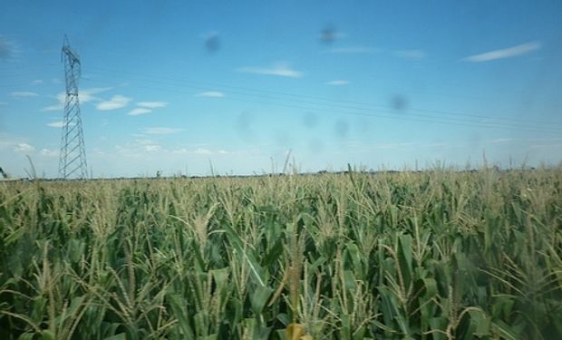 El clima impacta en el norte y el sur